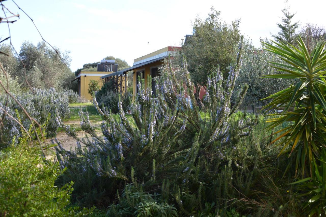 B&B Casa per ferie VillaggioCarovana Castiadas Esterno foto